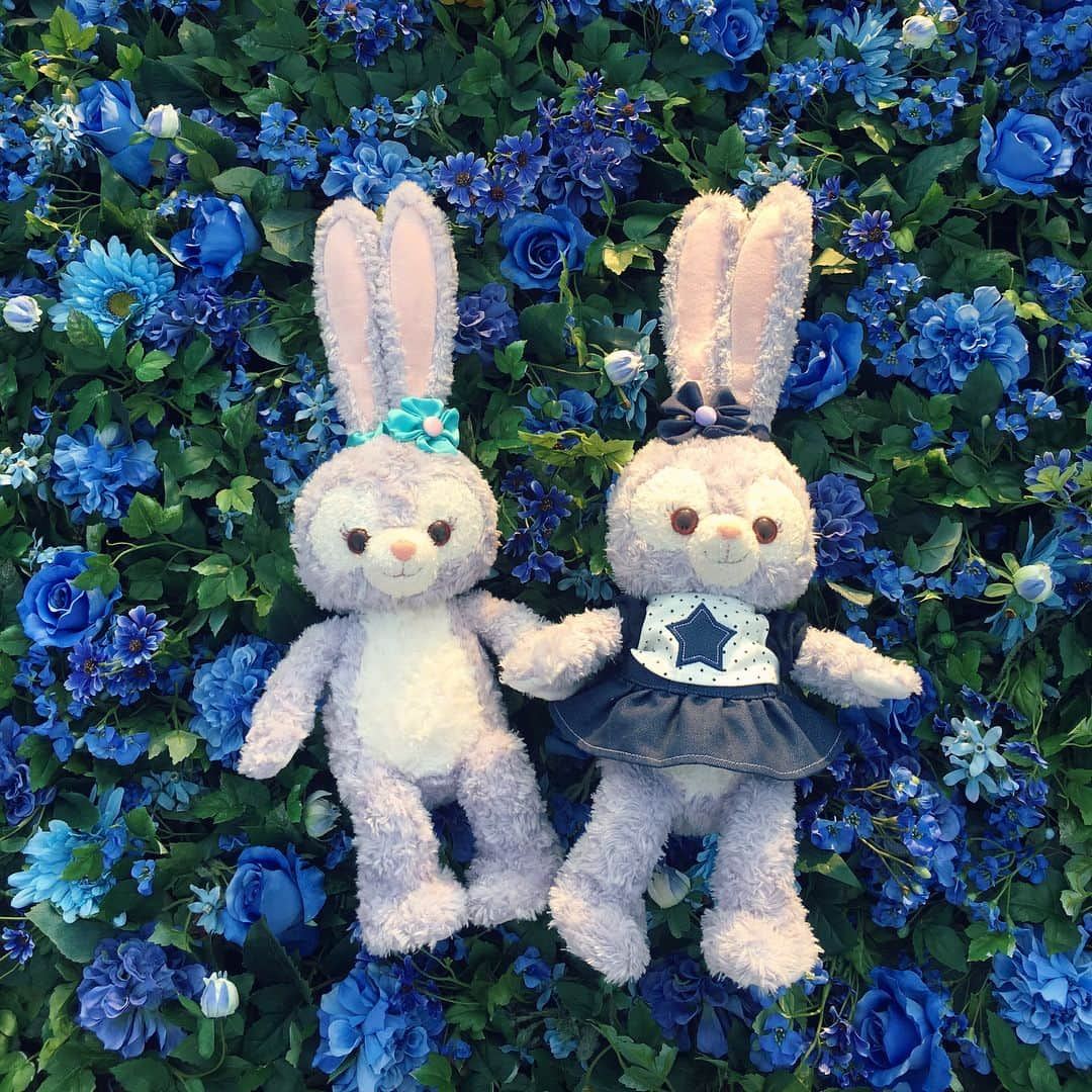 青木りえさんのインスタグラム写真 - (青木りえInstagram)「🐰 🐰 🐰 Disneysea🎠 #楽しかった ー💖 #ステラルー 可愛すぎました🐰🐰💕 #ディズニーシー が遊園地の中で一番好きです💓 #まだ少し寒かったので #モコモココート で #ちょうど良かった ☺️ #ステラルー 💖 #Disneysea 🐰🐻 #stellalou 🐰💕」3月15日 14時54分 - aokirie0418