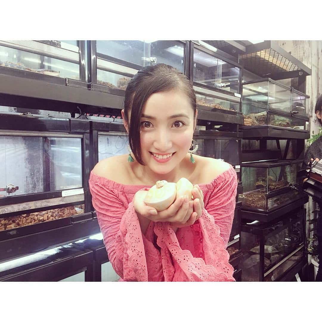 紗綾さんのインスタグラム写真 - (紗綾Instagram)「「イベ検」という番組ロケで、爬虫類と触れ合って来ました🐍🦎🐢 見るのも、触るのも、人生初爬虫類！！！ 初めはドキドキだったのですが… ロケ終盤では、爬虫類が大好きになりました😍❤️ いろいろ私に教えて下さったのは、 爬虫類のスペシャリスト、だっくす小峰さんと爬虫類好きのアナウンサー、楪望さん💕 とっても楽しいロケでした🌟 放送日は分かり次第またお知らせします！！ #爬虫類 #トカゲ #ヘビ #ヒョウモントカゲモドキ #ボールパイソン #東京レプタイルズワールド #5月12日 #開催」3月15日 21時37分 - saaya_official_