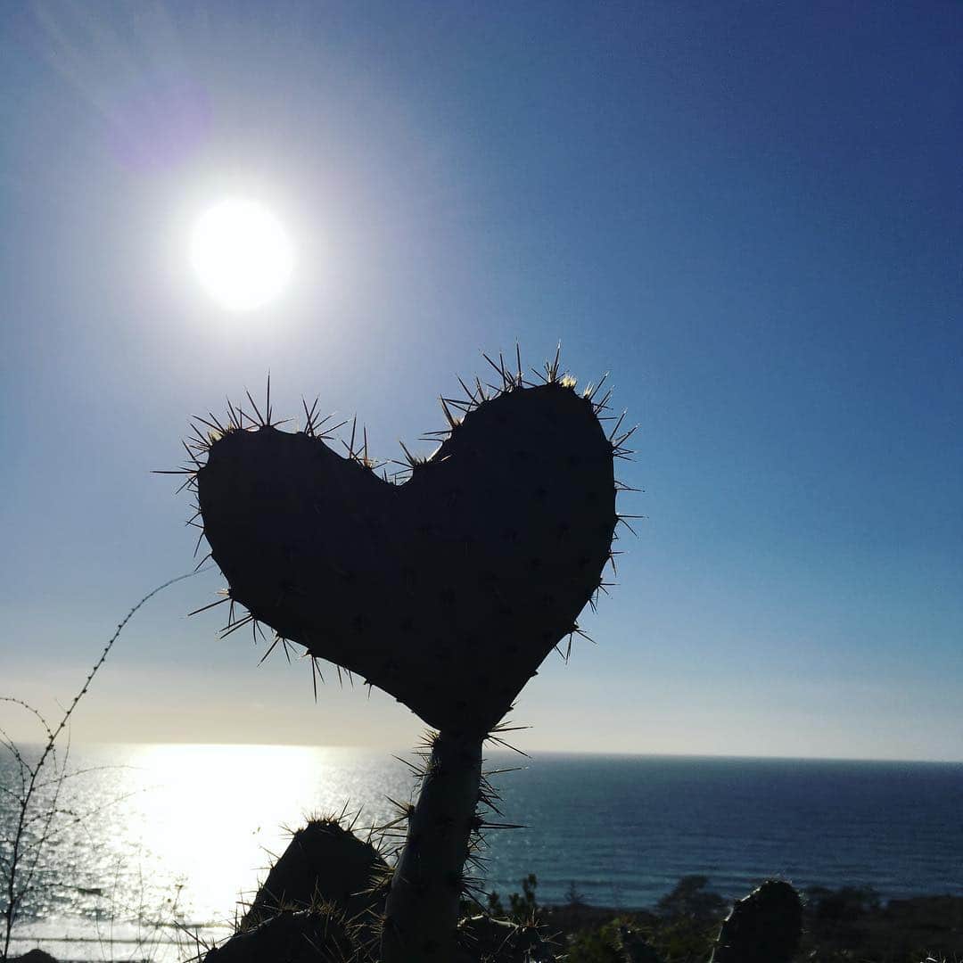 のインスタグラム：「I found a love!!🌵 1 week left in sandiego  サンディエゴでのトレーニングも残り一週間 良いトレーニングが出来ていて選考会が待ち遠しい！ 久しぶりに色んな人に会えるのが楽しみだ🇯🇵 #sandiego #torreypines  #cactus #サボテンのハート #フォトジェニック #インスタ映え 笑」