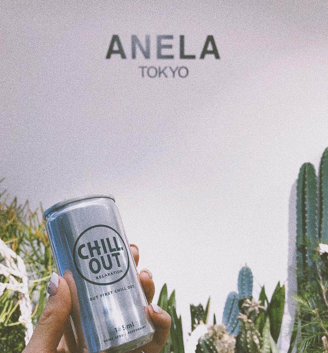 須田朱音さんのインスタグラム写真 - (須田朱音Instagram)「ANELA TOKYO 🌵 #AnelaTokyo #summerexhibition #cactus #chillout」3月16日 14時13分 - akane_godo