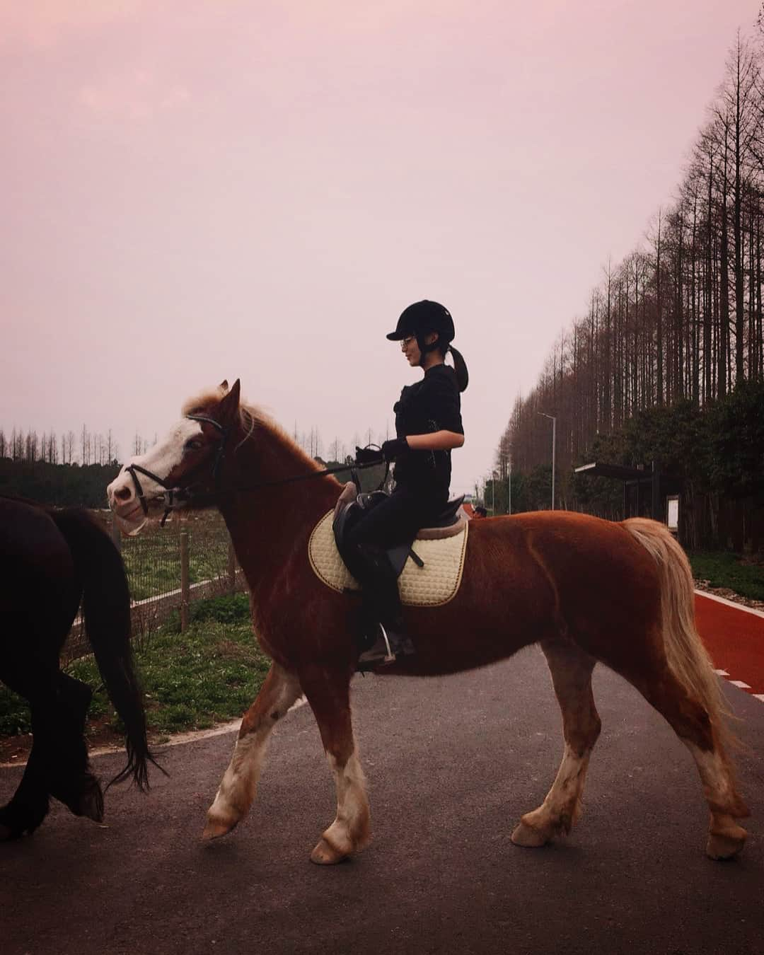 星名美津紀さんのインスタグラム写真 - (星名美津紀Instagram)「❤️🐴LOVE🐴❤️」3月16日 21時49分 - hoshina_mizuki