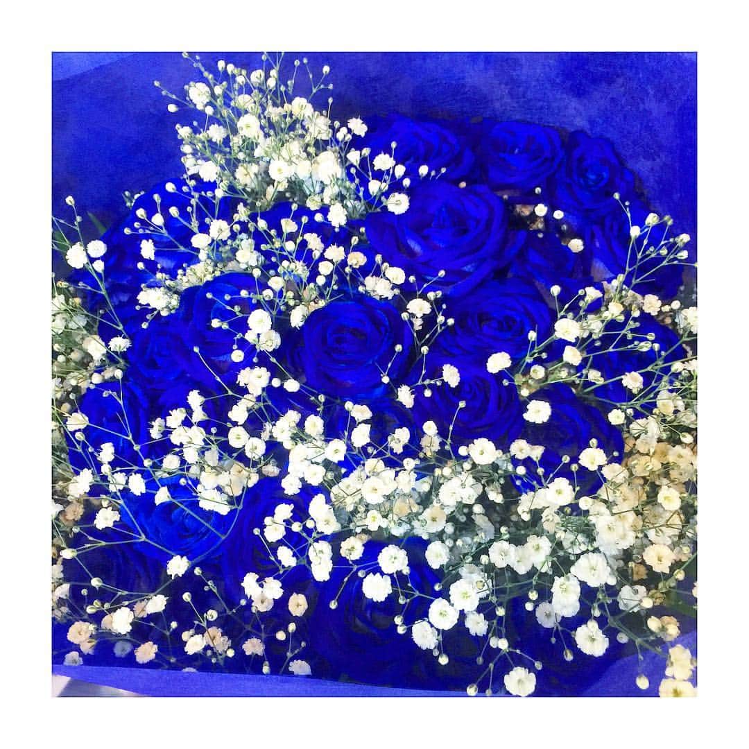山崎みどりさんのインスタグラム写真 - (山崎みどりInstagram)「バースデー撮影会でいただいたブルーのバラの花束💐 ・  凄いボリューム❣️ ・  いただいてから私の部屋で長らく元気にいい香りを放って綺麗に咲いてくれてました💐 ・  ファンでいてくれるみんなから💕 ・  ありがとう😊 #💐 #花束 #バラ #バラの花束 #薔薇 #ブルーバラ #蒼いバラ #青いバラ #バースデー花束」3月16日 22時39分 - midori_yamasaki_