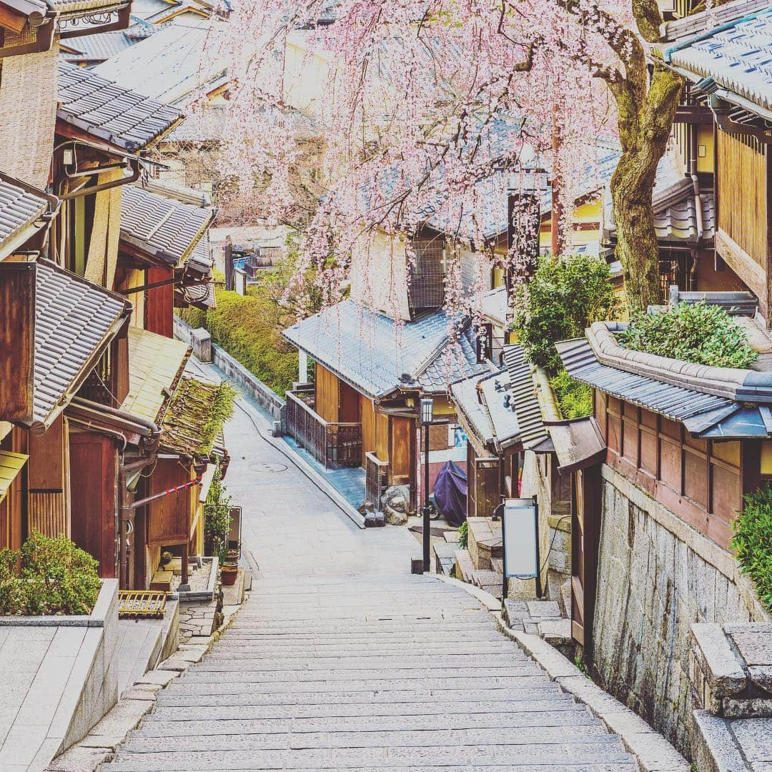 KINUのインスタグラム：「Japan is beautiful. #craftmanship #madeinjapan #kickstarter #silk #organicfashion #zen #socks #tabi #yoga #running #gift #kinu #fashion #Japan #sustainablefashion #sale」