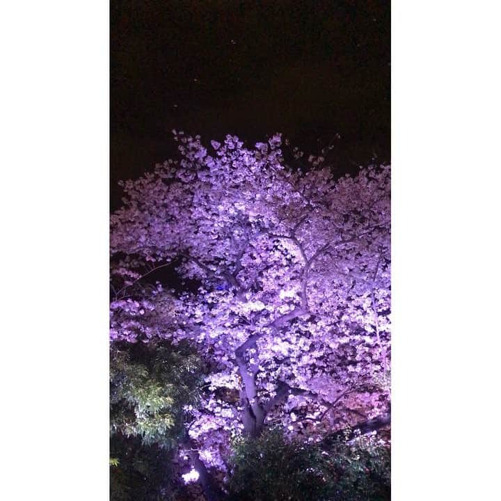 久保井朝美のグルメインスタ