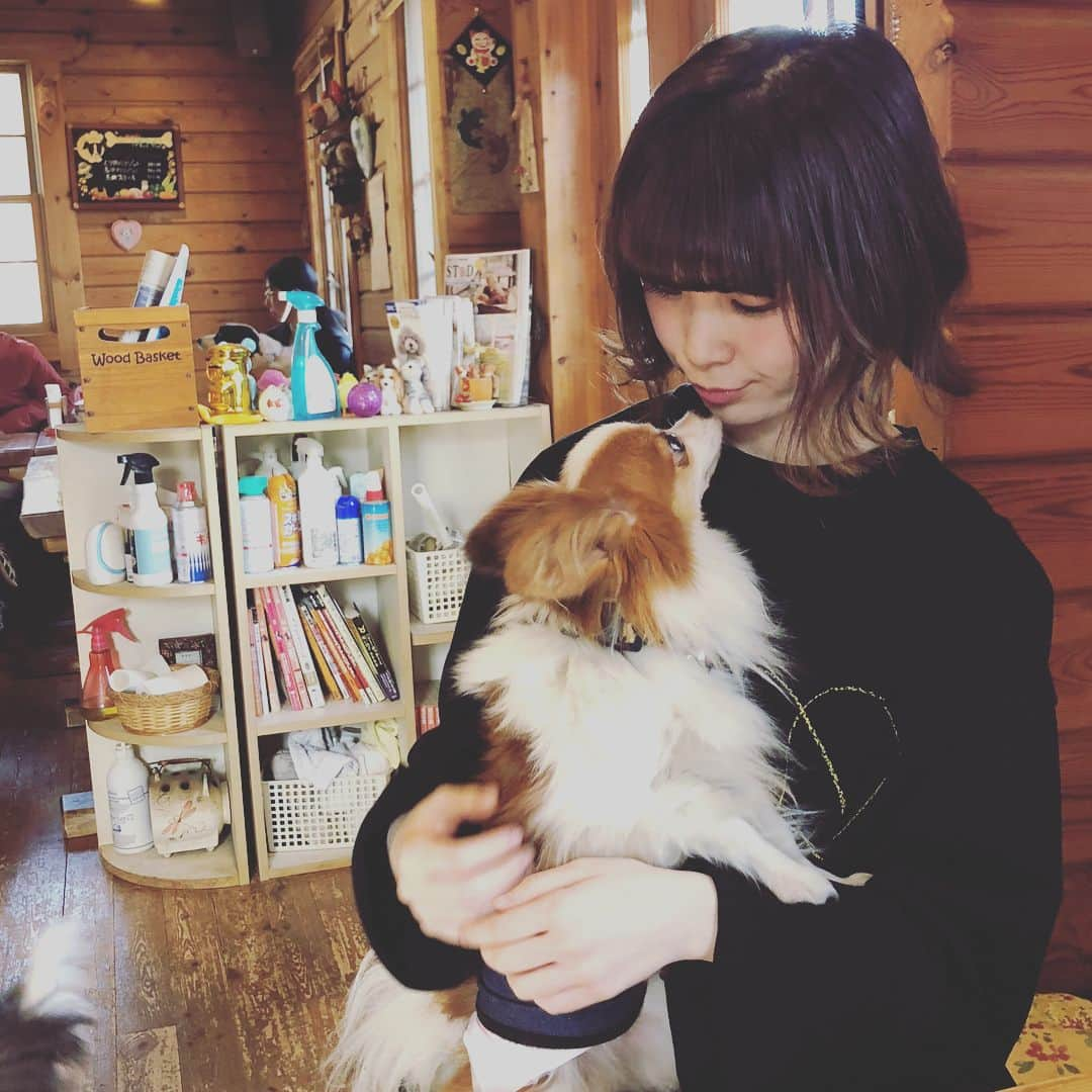 蒼山幸子さんのインスタグラム写真 - (蒼山幸子Instagram)「🐶まみれの日。 パピちゃんはどうしても 前に飼っていた子を 思い出します。 みんなとても賢くて いい子たち。 しあわせな時間を ありがとうー💐」3月31日 20時28分 - sachiko_aoyama