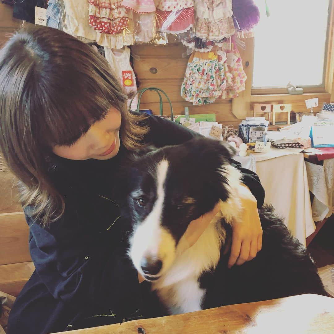 蒼山幸子さんのインスタグラム写真 - (蒼山幸子Instagram)「🐶まみれの日。 パピちゃんはどうしても 前に飼っていた子を 思い出します。 みんなとても賢くて いい子たち。 しあわせな時間を ありがとうー💐」3月31日 20時28分 - sachiko_aoyama