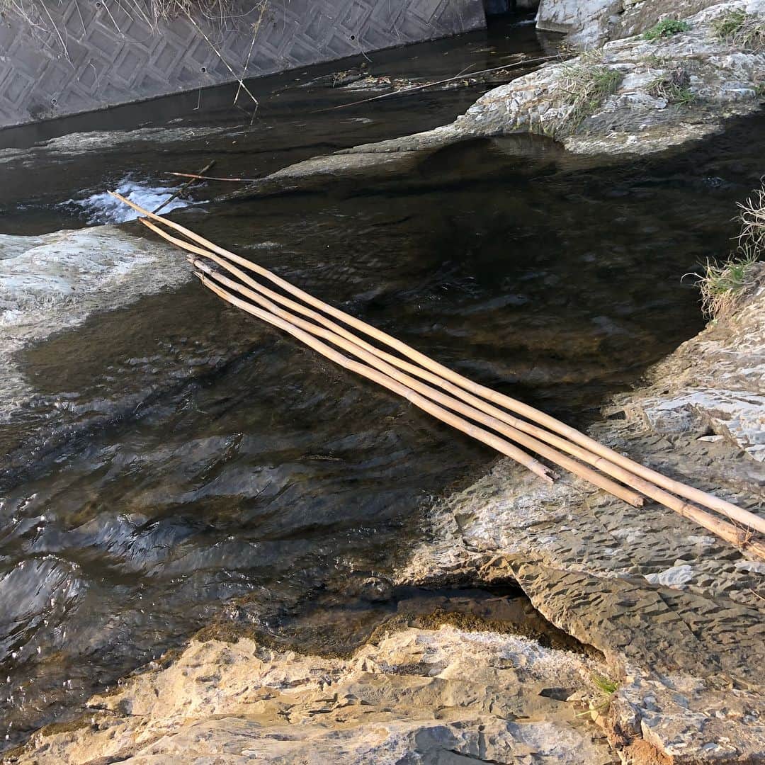 高嶋ちさ子さんのインスタグラム写真 - (高嶋ちさ子Instagram)「春休みカウントダウン。小川を見付けて橋を作って渡ったり、BBQを楽しんだ後は、貸別荘になぜかスタジオが付いていたので練習。 素晴らしい流れ。」3月31日 20時40分 - chisakotakashima