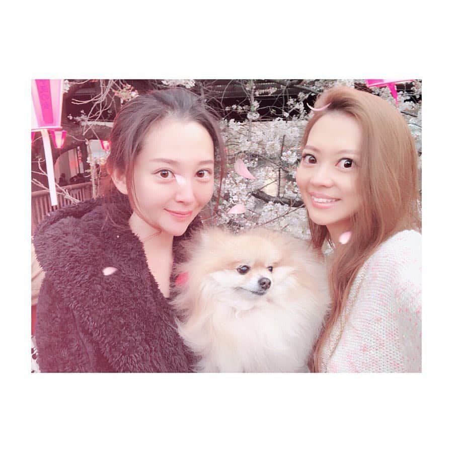 山崎みどりのインスタグラム
