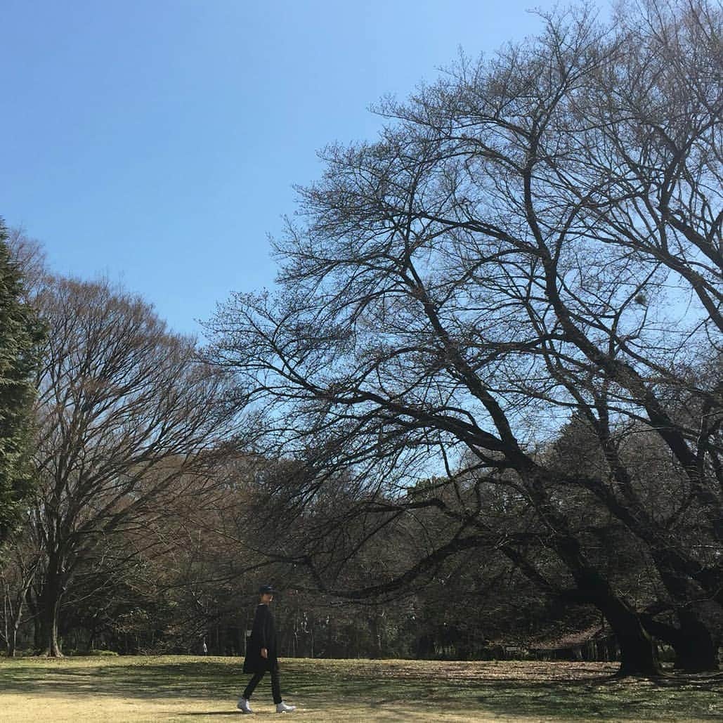仁科由紀子のインスタグラム：「大きな桜の木には 今にも咲きそうな蕾がいっぱい🌸  お花見には少し早かったけど… 気持ちのよい公園日和でした☀  #砧公園 #桜 #もうすぐ」