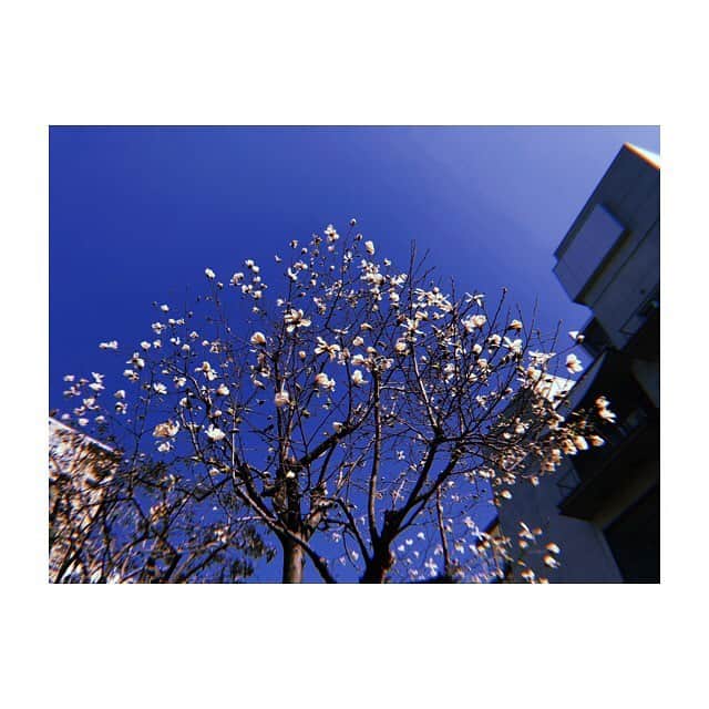 松井玲奈さんのインスタグラム写真 - (松井玲奈Instagram)3月18日 0時05分 - renamatui27