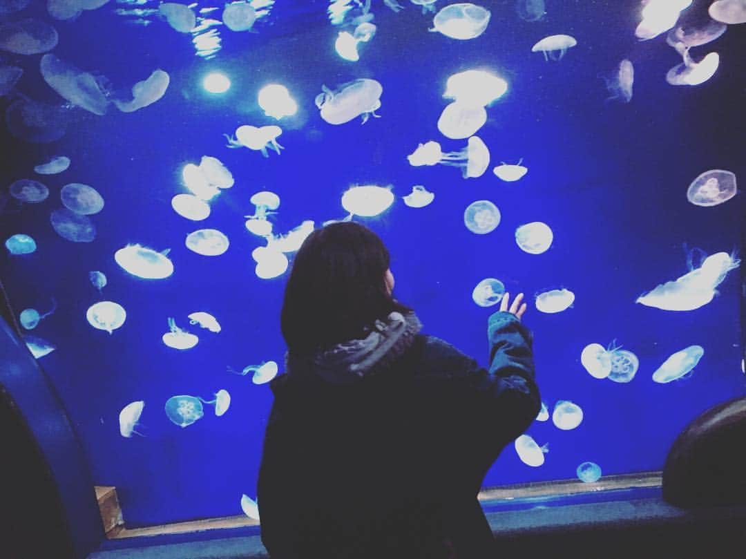 石田涼のインスタグラム：「この間水族館行きました  #カバガ #水族館 #クラゲ #idol #池袋サンシャインシティ水族館 #深海魚 #like4like #followme」