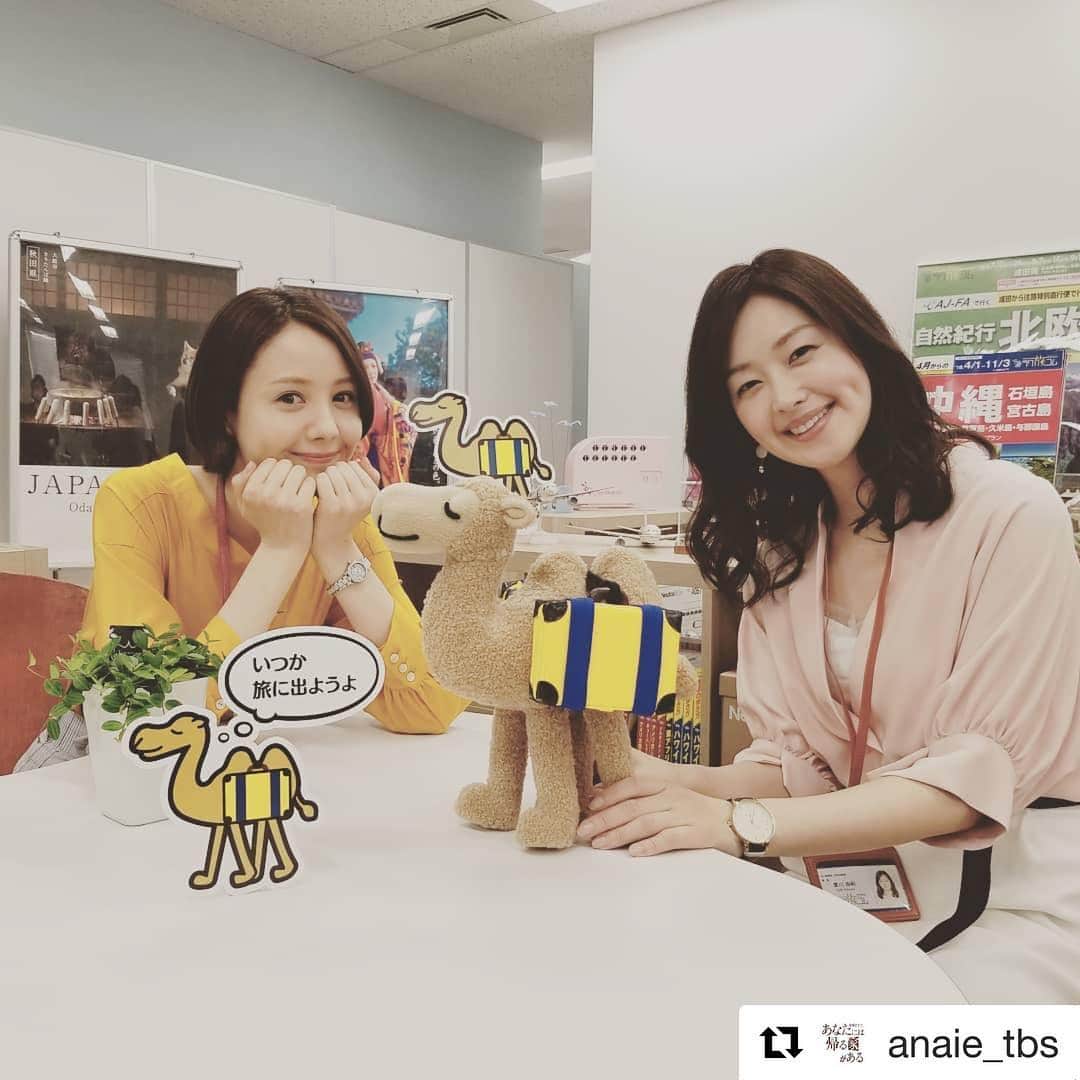 笛木優子のインスタグラム：「あなたには帰る家がある インスタもあります🎈」