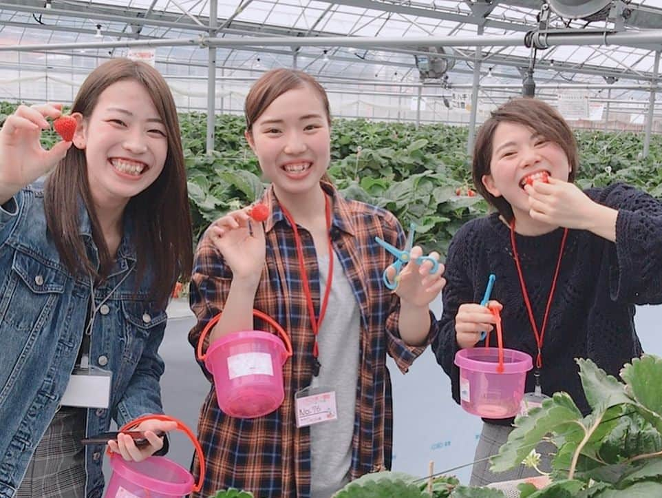 藤井瑞希さんのインスタグラム写真 - (藤井瑞希Instagram)「１日芦北町ツアー❤️ いちご狩り🍓→ローラーリュージュ🛷→ボウリング🎳→ダ・ロープ亭🍖  よく食べてよく動きました🤗  芦北最高✨  #いちご狩り🍓 #いちごの森 #ダロープ亭 #ひれ肉 #芦北町 #大好き #最高」3月18日 19時12分 - bdmntnfujiimizuki