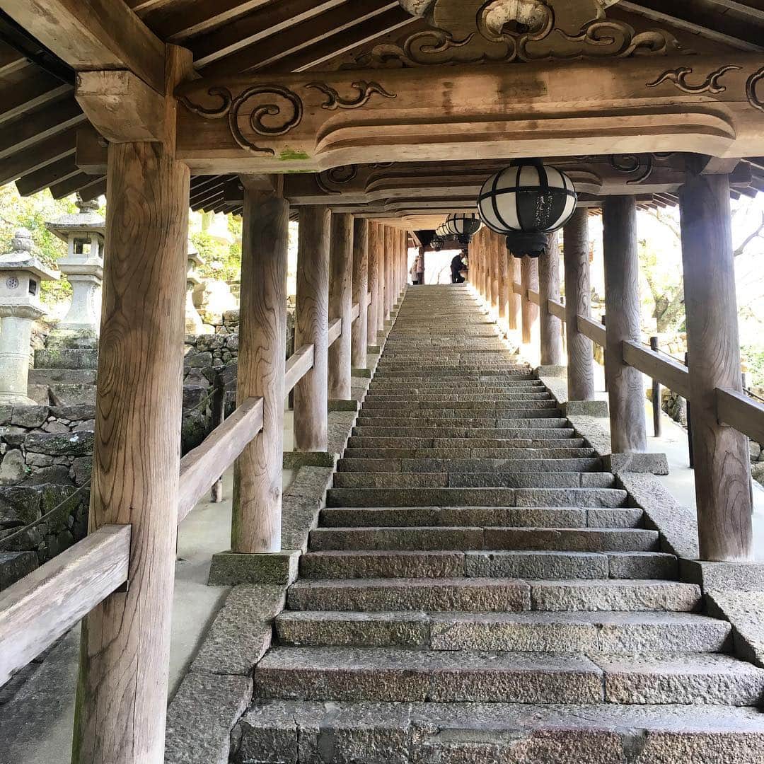 風間ゆみえのインスタグラム