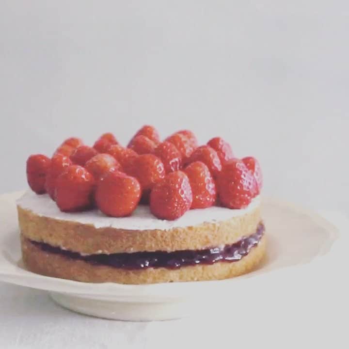 のインスタグラム：「Strawberry & Cherries . イチゴとサクランボ、 どっちも好きなのです。 過去の動画の組合せ。 . . #bonahiguchi #猫 #ねこ #ネコ #🍓 #🍒 #樋口ボナ #ボナさん動画 #みんねこ #おやつとボナさん」