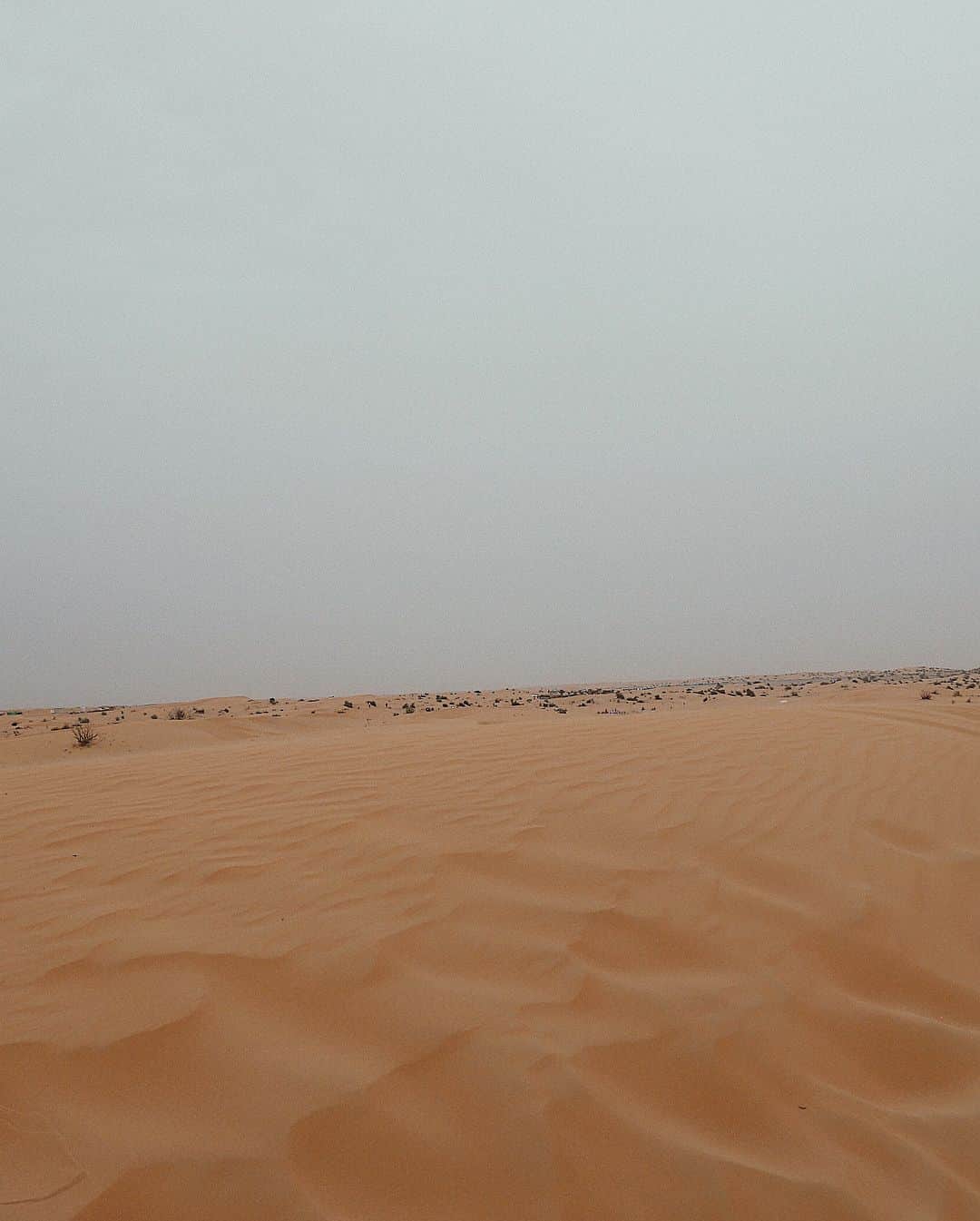 中野英菜さんのインスタグラム写真 - (中野英菜Instagram)「開発都市の#ドバイ から少し足を伸ばすと広がる#砂漠 🐫🌵✨本当ドバイって不思議で魅力的な都市。 ・ #アバヤ 体験はMが面白くてお腹よじれて死ぬんじゃないかと思った（笑）🤣✨ ・ 今日もみなさんお仕事頑張りましょう♪私は早番です✨ ・ #ドバイ #砂漠 #ドバイ旅行 #ドバイ女2人旅 #女子旅 #dubai #Desert #trip #japan #japanese #ena旅行」3月19日 8時56分 - ena_biyou