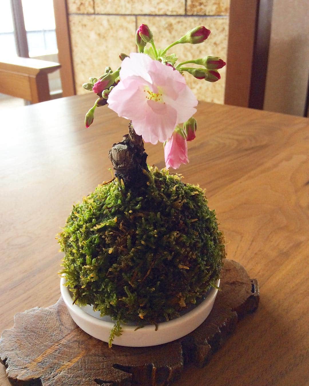 祥吉のグルメインスタ