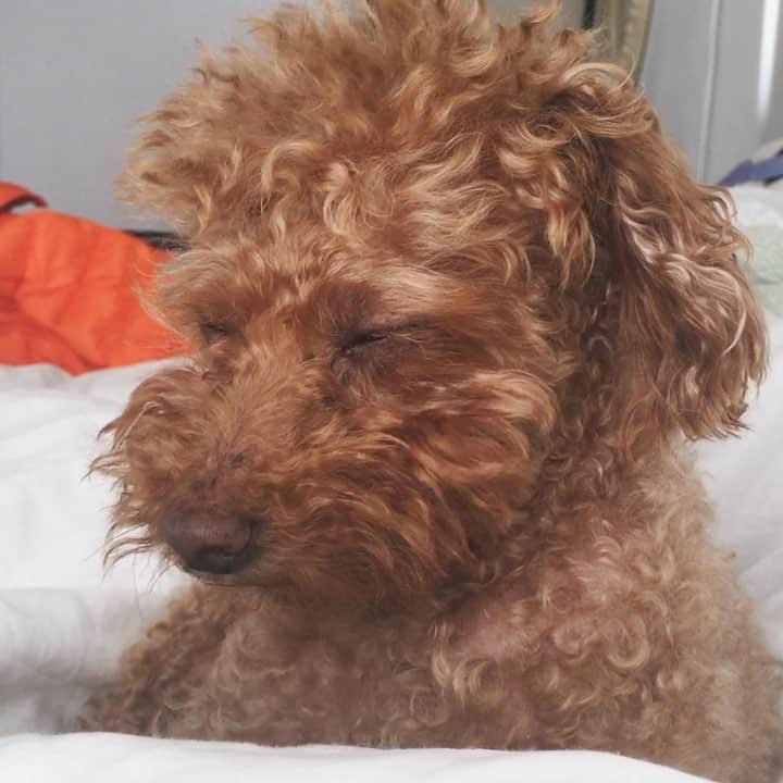 のインスタグラム：「Sunday 👅」