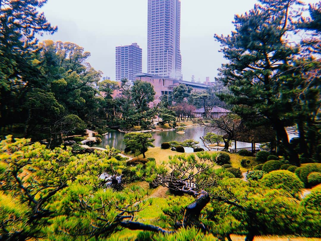 伊藤ゆりさんのインスタグラム写真 - (伊藤ゆりInstagram)「川島せんせいと過ごした倉敷・神戸→広島ずぶ濡れひとり旅 神戸で購入した物品の輸送が辛かった 明らかな行程ミスも、やり切りました‼️ . #やはり悔いなし #クオーレ倉敷 #岡山県倉敷市 #ホステル #神戸中華街 #limacoffee #古着屋巡り #神戸牛 #メリケンパーク#パティスリーモンプリュ #神戸みなと温泉 #縮景園 #宮島観光 #牡蠣屋 #ふじたや #あなご飯 #揚げもみじ #厳島神社大鳥居 #厳島神社 #宮島潮湯温泉 #錦水館」3月19日 20時58分 - ito0aiueorange