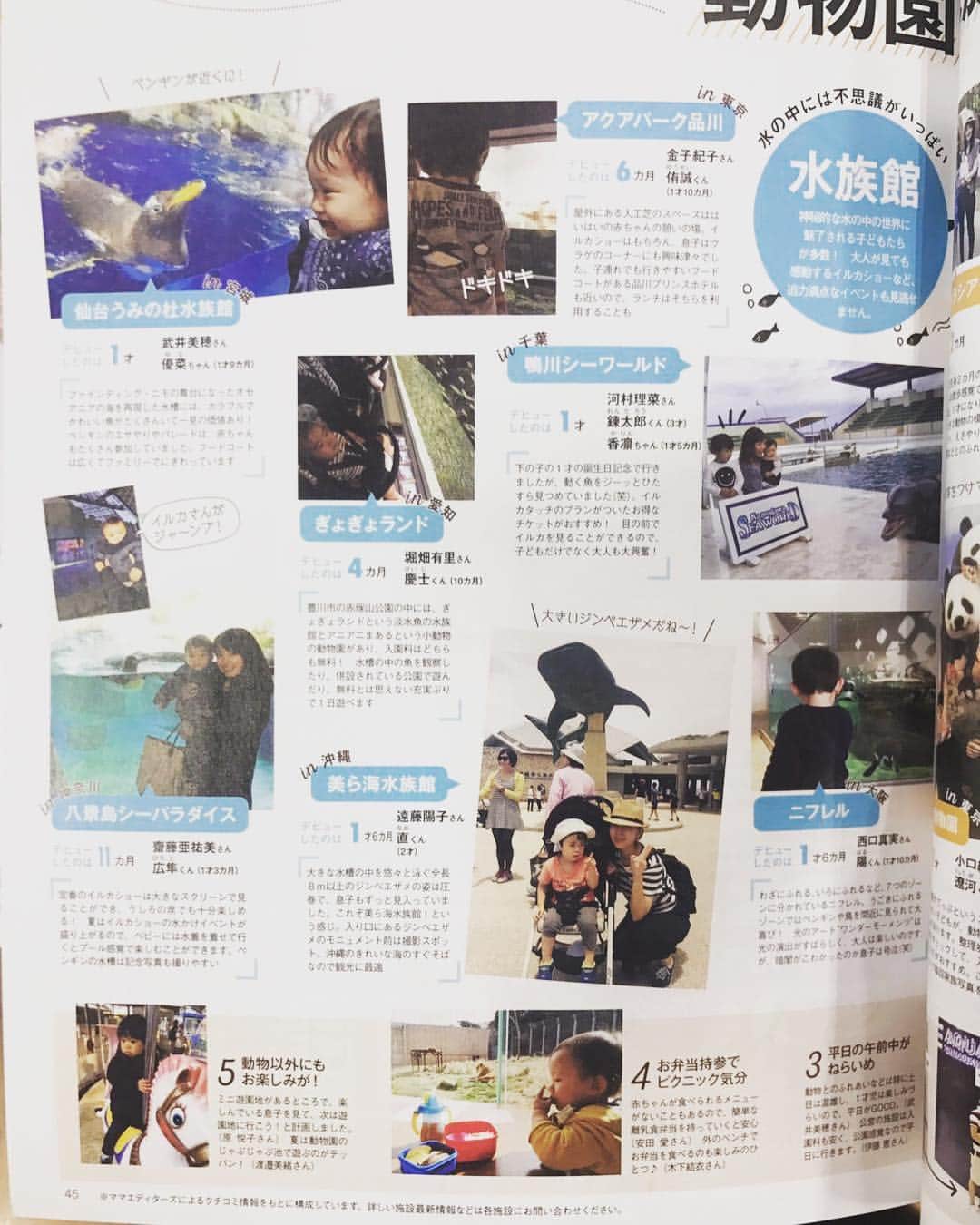 堀畑裕也のインスタグラム：「‪息子が雑誌デビュー☆‬ ‪でも、この頃はおデブすぎ🐡‬ ‪今はだいぶスリムになりました。笑‬ ‪テーマは動物園、水族館ということで、周りは全国でも有名な水族館だらけだけど、うちの子は#ぎょぎょランド ！笑‬ ‪豊川へお越しの際は是非ぎょぎょランドへ😃‬ ‪#babymo #息子 #雑誌デビュー #豊川 #地元愛 #親バカ ‬」