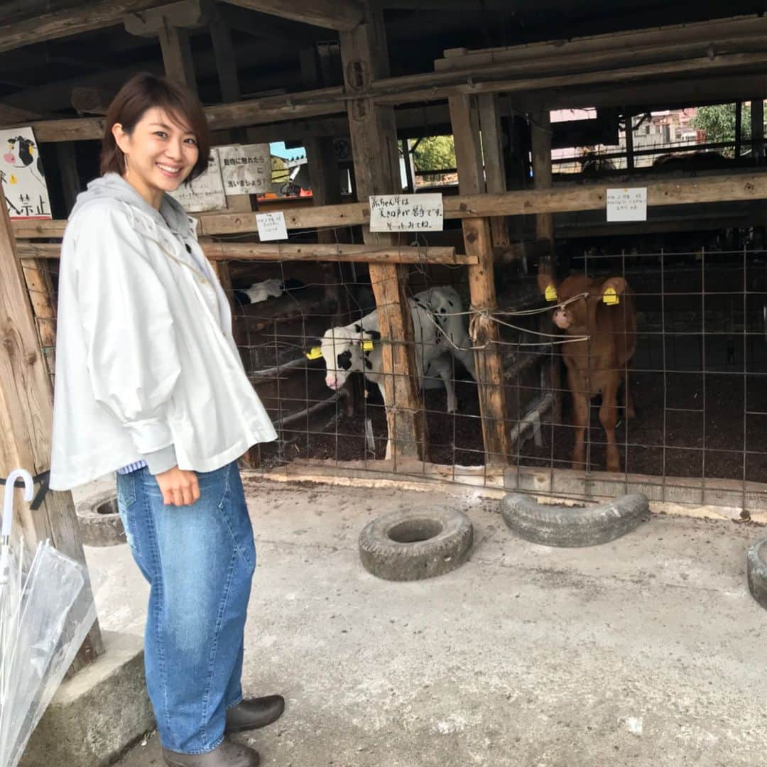 潮田玲子さんのインスタグラム写真 - (潮田玲子Instagram)「今日は早朝からロケしてます。 生憎の雨模様…そして寒い〜😵 思わず子牛に足が止まる！ か、可愛い〜😍 あっかんべーされてるし笑笑 今日はお留守番してくれているチビ達にもう会いたくなっちゃった… ロケが終わったらダッシュで帰ろう💨😍 #ロケ #雨模様 #子牛 #可愛い」3月20日 10時20分 - reikoshiota_official