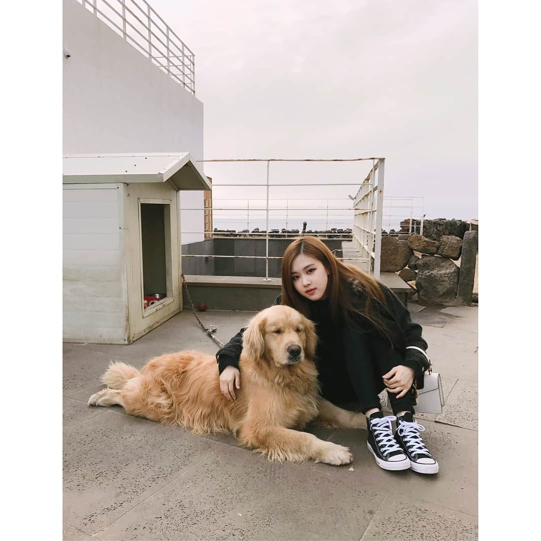 BLACKPINKさんのインスタグラム写真 - (BLACKPINKInstagram)「#BLACKPINK#ROSÉ#BLACKPINKHOUSE#BLINKS#MISSU#LOVEU  Beautiful Jeju island 🖤」3月20日 21時21分 - blackpinkofficial