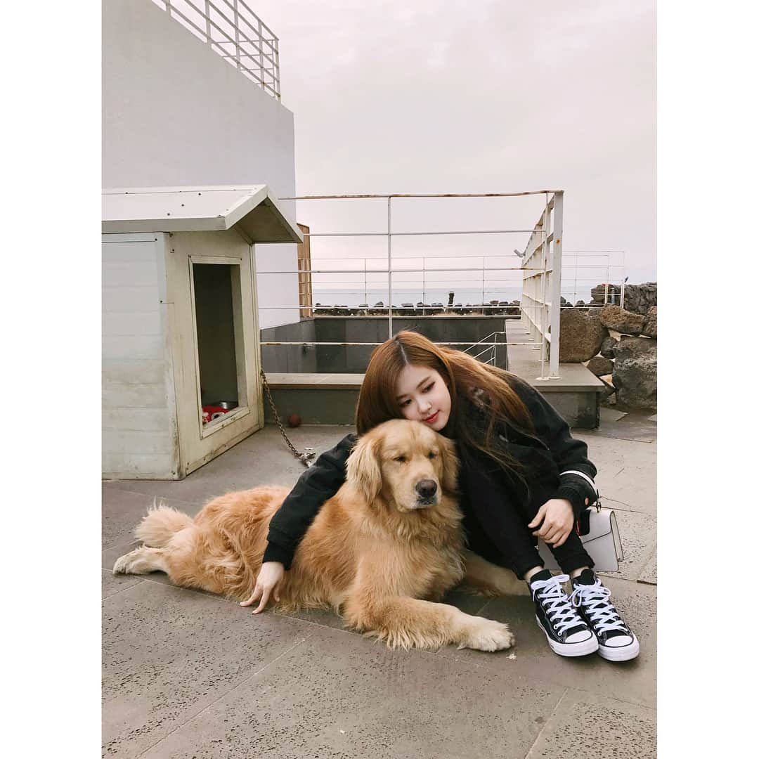 BLACKPINKさんのインスタグラム写真 - (BLACKPINKInstagram)「#BLACKPINK#ROSÉ#BLACKPINKHOUSE#BLINKS#MISSU#LOVEU  Beautiful Jeju island 🖤」3月20日 21時21分 - blackpinkofficial