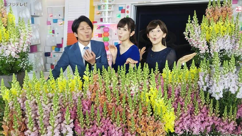 フジテレビ「めざましテレビ」さんのインスタグラム写真 - (フジテレビ「めざましテレビ」Instagram)「金魚になってみた🐠今週は、千葉・南房総の温暖な気候を生かして栽培されている金魚草。尾ひれがフリフリの金魚のように見える姿から金魚草と呼ばれてるんだって。この金魚草の花束をフジテレビフラワーネットから抽選で１０人にプレゼントするよ💐 http://www.fujitv-flower.net/mezamashis/ 締め切り:２０１８年３月２６日(月) #倉田大誠  #宮司愛海  #久慈暁子」3月20日 18時12分 - mezamashi.tv