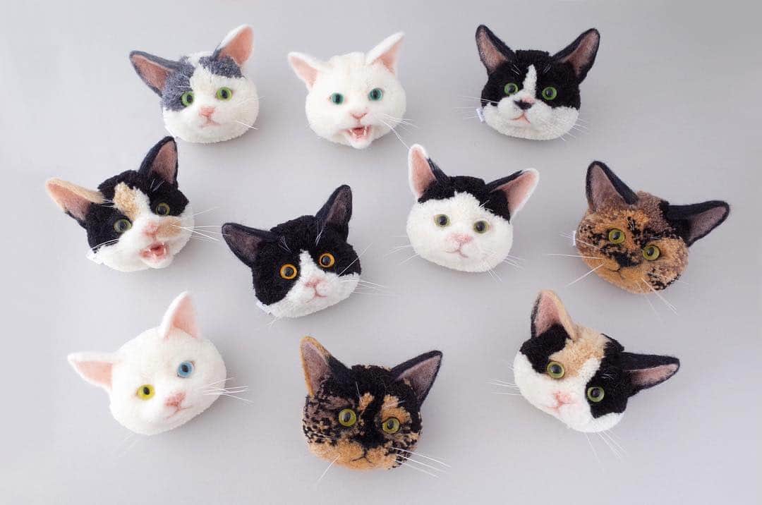 黒田翼 動物ぽんぽん さんのインスタグラム写真 黒田翼 動物ぽんぽん Instagram Bunkamuraザ ミュージアム 猪熊弦一郎展 猫たち 本日よりスタートしています 朝からミュージアムショップにお越しくださった方々 ありがとうございました 作品は期間