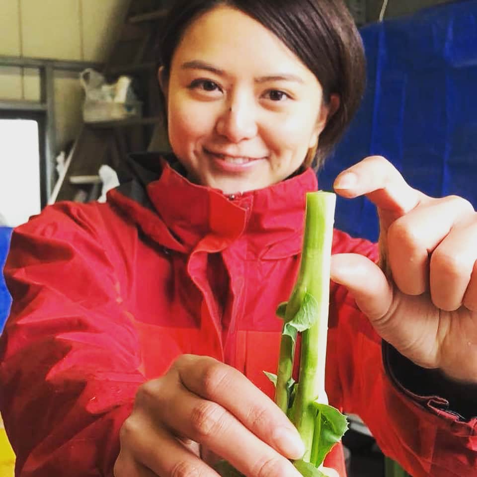 長沢裕のインスタグラム：「今日も来ました小川町！ 土に触ると癒される不思議。 子供の頃も山の土で泥団子作ってたなー。 写真ののらぼう菜は茎のところがシャッキシャキで甘くって激うまです。 葉っぱもいいけど茎のうまさがポイントです！ なんでもそうだけど生産者のこだわりが見えると同じものでもより輝いてより美味しくなる気がします^ ^  最後に生産者の栗原さんにテレビよりも 畑にいた方が表情がいいねっ！テレビだと緊張しちゃってるんだねとのご指摘を受ける😂  #いい加減慣れたい#ありのまま #おがわんプロジェクト#小川町 #野菜#のらぼうな#栗原ファーム #歯ごたえ最高#畑の中で#癒し」