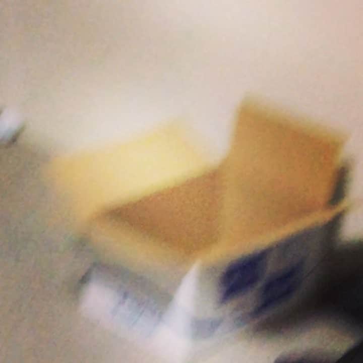 奥山レイカのインスタグラム：「お気に入りらしいハコ #猫 #ネコ #cat #ねこ #はこねこ #箱ねこ」