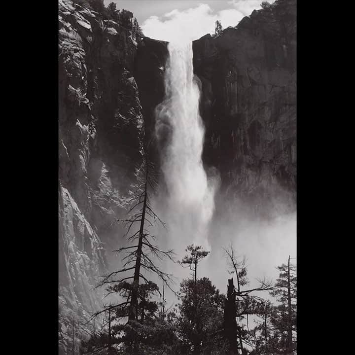 デヴォン青木のインスタグラム：「Pairing these two things just feels right @anseladams_1 x @julienmarchal Insight XVlll 🌎❤️」