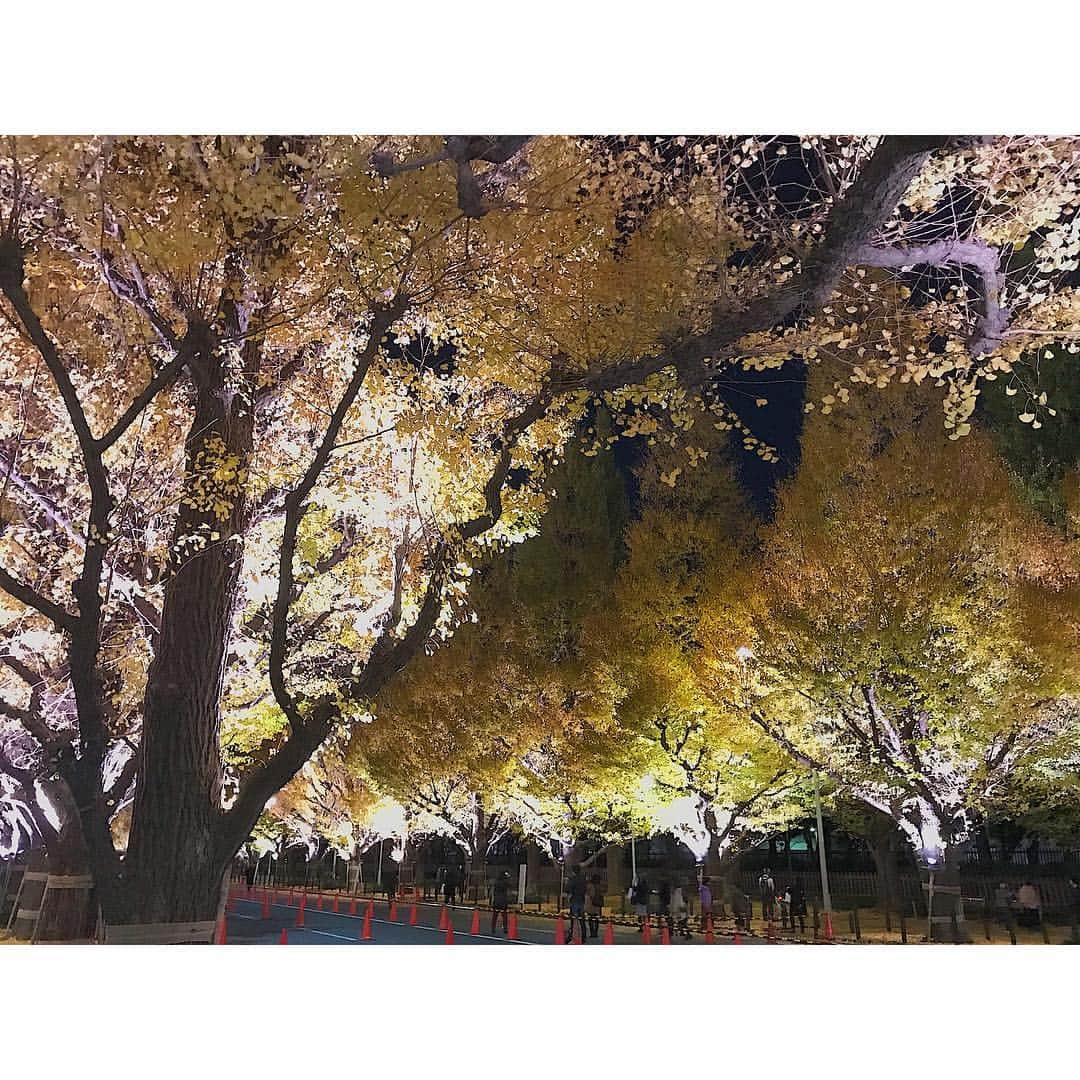 Takama Shibataのインスタグラム：「桜の季節目前だけど アップしてなかったイチョウ並木  #日本 #japan #東京 #tokyo #イチョウ #銀杏 #綺麗 #景色 #scenery #素敵 #beautiful #自然 #nature #写真好きな人と繋がりたい #iphoneで撮影 #カメラ」