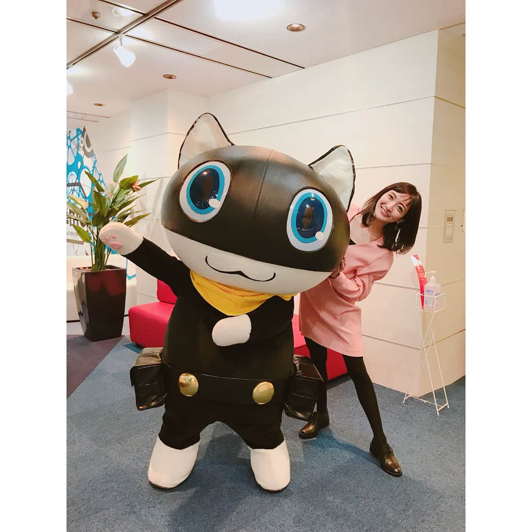 松澤千晶さんのインスタグラム写真 松澤千晶instagram モルガナ かわいいね ペルソナ ペルソナ5 Persona5 3月22日 1時35分 Chiaki Matsuzawa