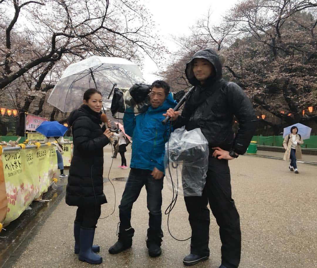 岡安弥生さんのインスタグラム写真 - (岡安弥生Instagram)「上野公園の桜は、まだ開花したばかり。それにしても、今日は寒い〜。#上野公園 #桜#みぞれ#春の雪#リポート#羽鳥慎一モーニングショー #宮本カメラマン#音声小松さん#ダウンコート #snow#report #park #Ueno#cherryblossom #cold」3月21日 17時50分 - yayoin3