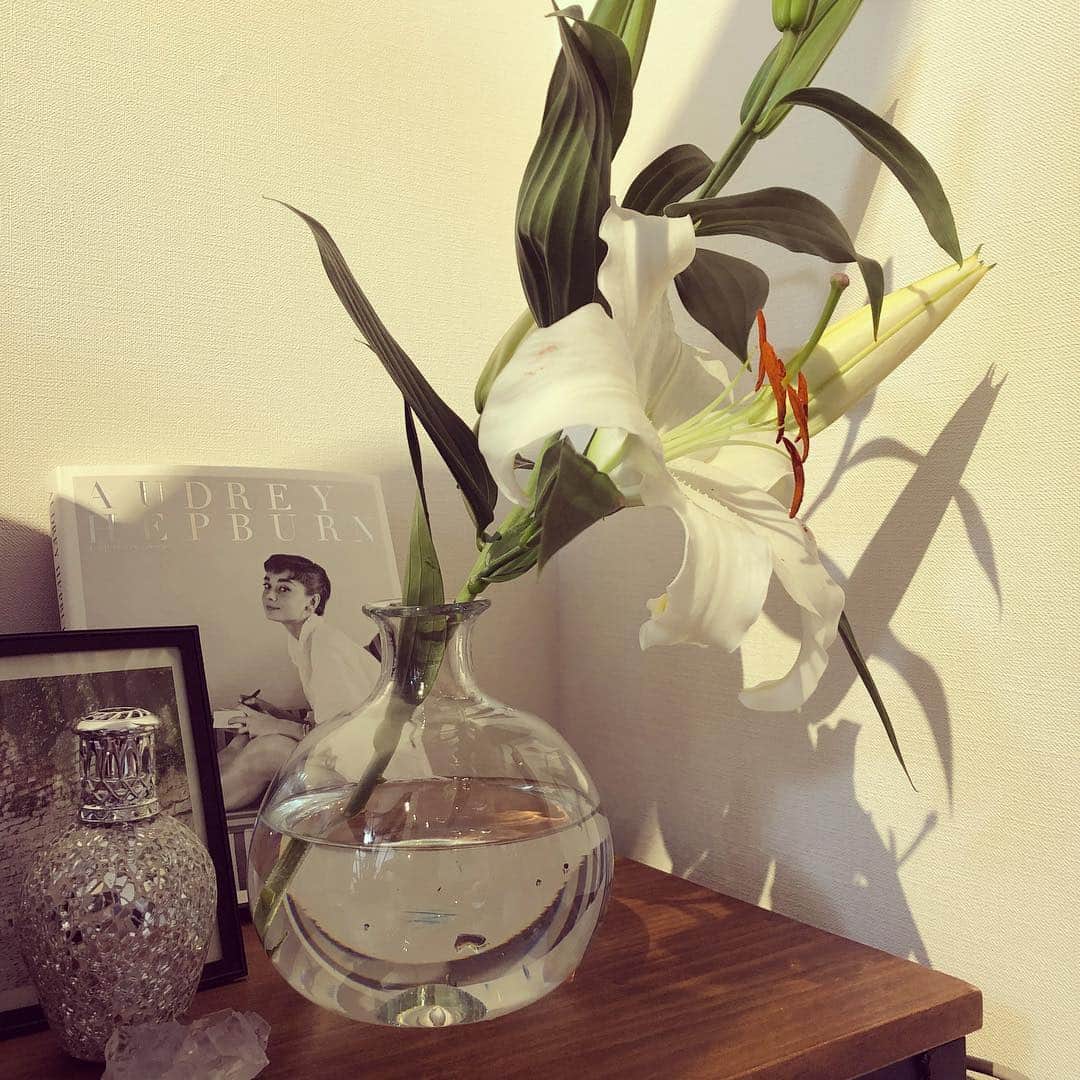 新井恵理那さんのインスタグラム写真 - (新井恵理那Instagram)「新しく部屋に迎えた花瓶に、純白のユリの花を生けました♪とても神聖な存在感が、あります(*´-`)おやすみなさい！また明日…♪#ユリ #花瓶 #新井恵理那」3月21日 20時47分 - elina_arai