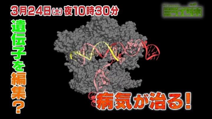 テレビ東京「ミライダネ」のインスタグラム：「日本人の２人に１人が発症すると言われるガン。そのガンを注射で治すことができるかもしれない技術が研究されています。それが「ゲノム編集」です。  ２４日（土）よる１０時３０分放送の「ミライダネ」は、病気を引き起こす遺伝子に働きかけて治療する技術に迫ります！  #ゲノム編集 #遺伝子 #DNA #ミライダネ #テレ東 #ガン #ダイエット」