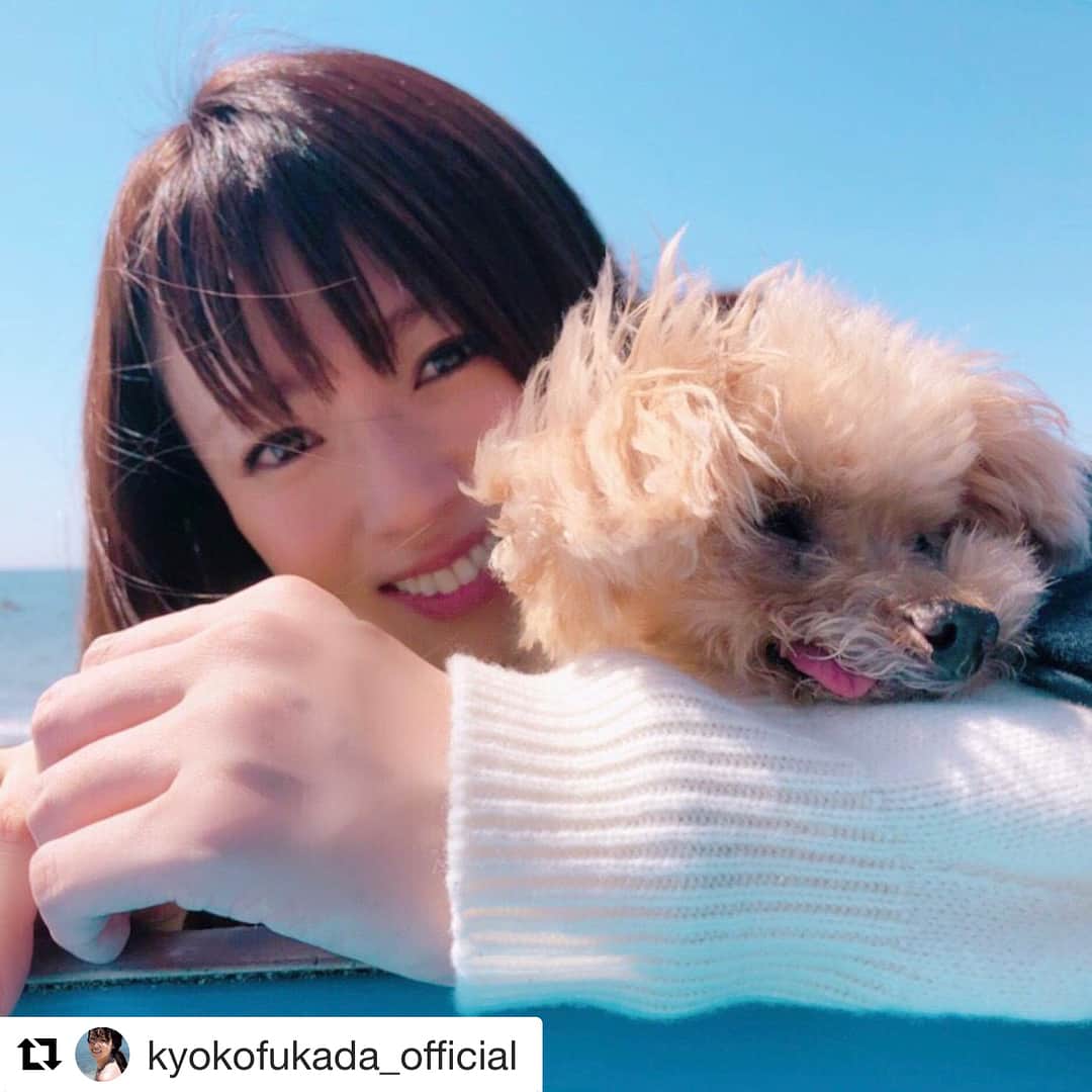 フジテレビ「隣の家族は青く見える」のインスタグラム：「. #Repost @kyokofukada_official with @get_repost ・・・ ドラマの撮影で海に行きました🐬 小道具で置いてあったボートの上で。だけどなんだかサーフボードにもみえる🏄‍♀️....メロン（犬）をロケに連れて来られたのは久々だったのでとても喜んでいました！（実は私も🤣）あぁまだ寒いけどそろそろ...サーフィンしたくなって来ました🐳 #隣の家族は青く見える #沢山コメントありがとうございます #今夜最終回 #kyokofukada」