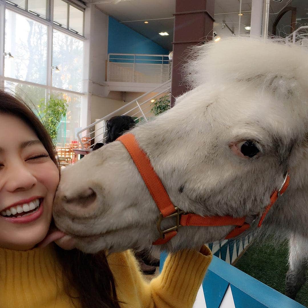 悠衣のグルメインスタ