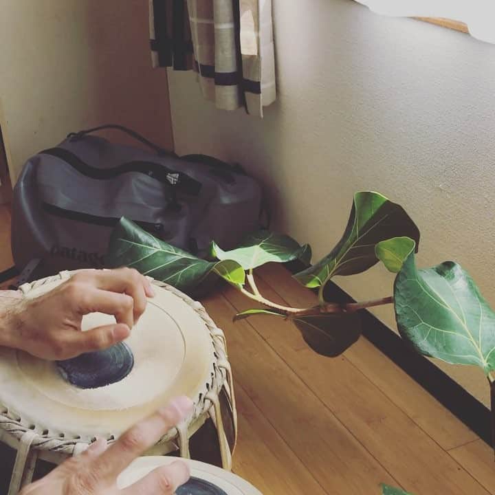 Shinsuke Inoueのインスタグラム：「Practicing Tabla for the first time after a year...」