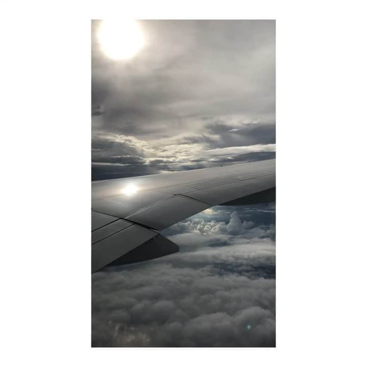 のインスタグラム：「金色に輝く世界。 #airplane #flight #飛行機 #空の旅 #空 #幻想的 #✈️」