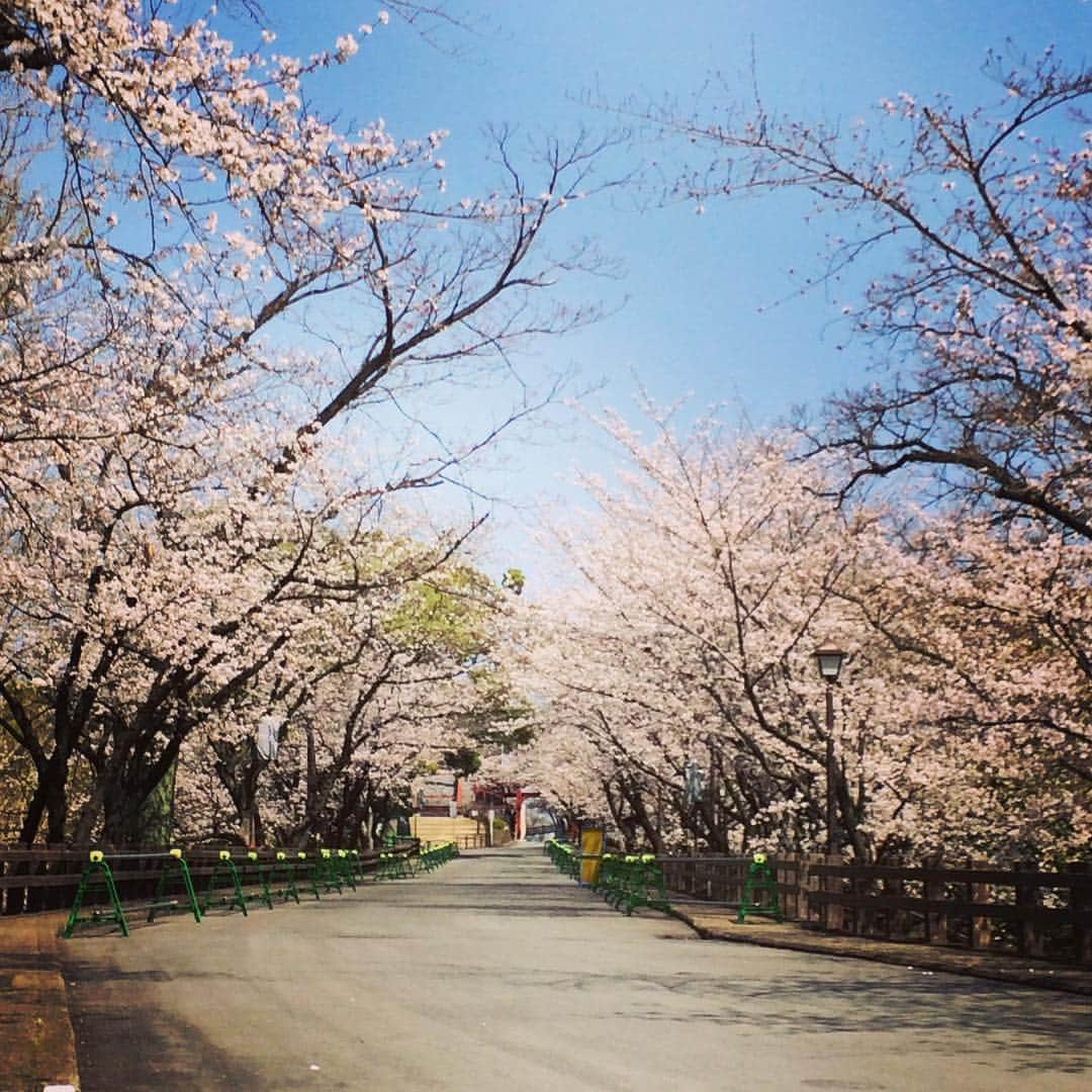 熊本城のインスタグラム