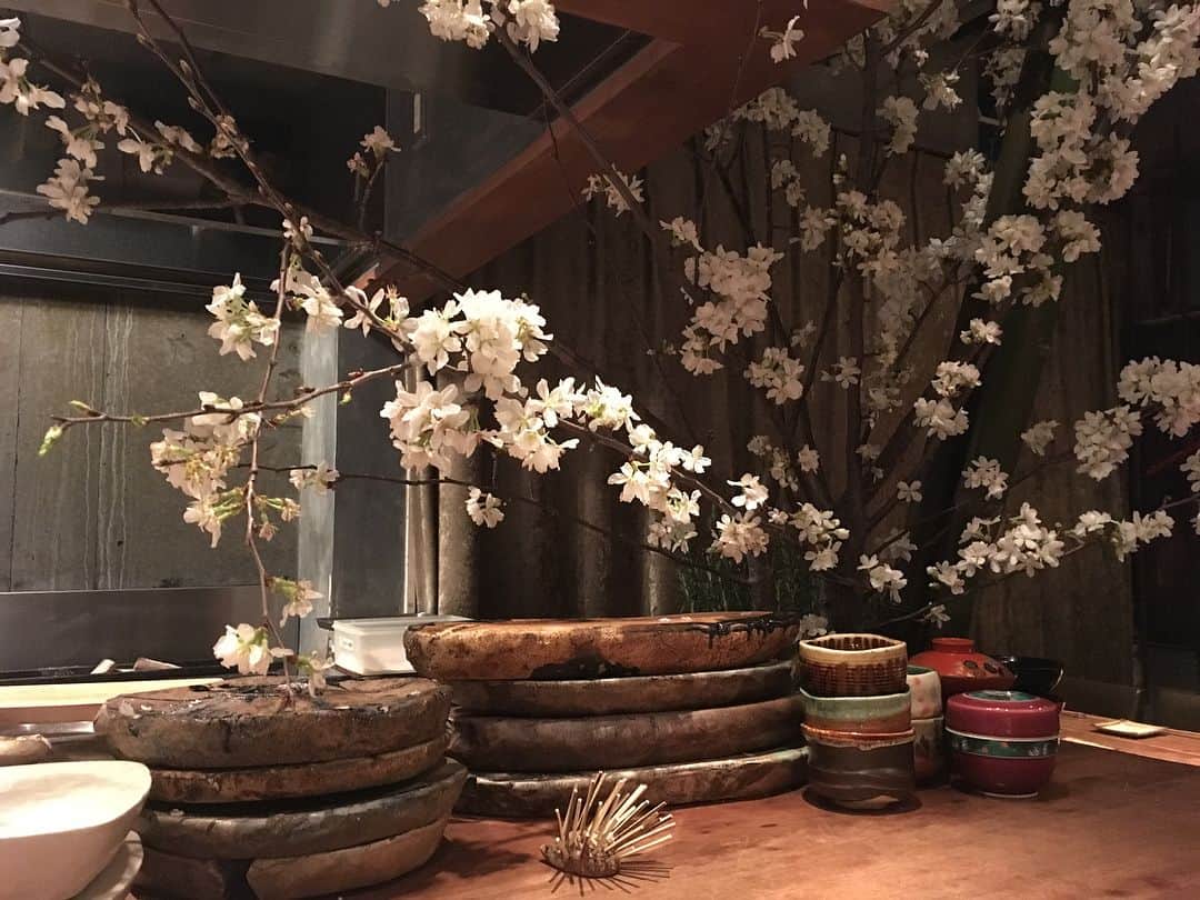 みひろさんのインスタグラム写真 - (みひろInstagram)「優ちゃんと桜を見ながら乾杯🌸 器が素敵すぎる。和の魅力満載！もちろん食事も最高〜！また行こうっ(^｡^) #桜 #日本酒 #晴れすがた #和食 #手島優 ちゃん #mihiro」3月24日 18時51分 - mihiro0519