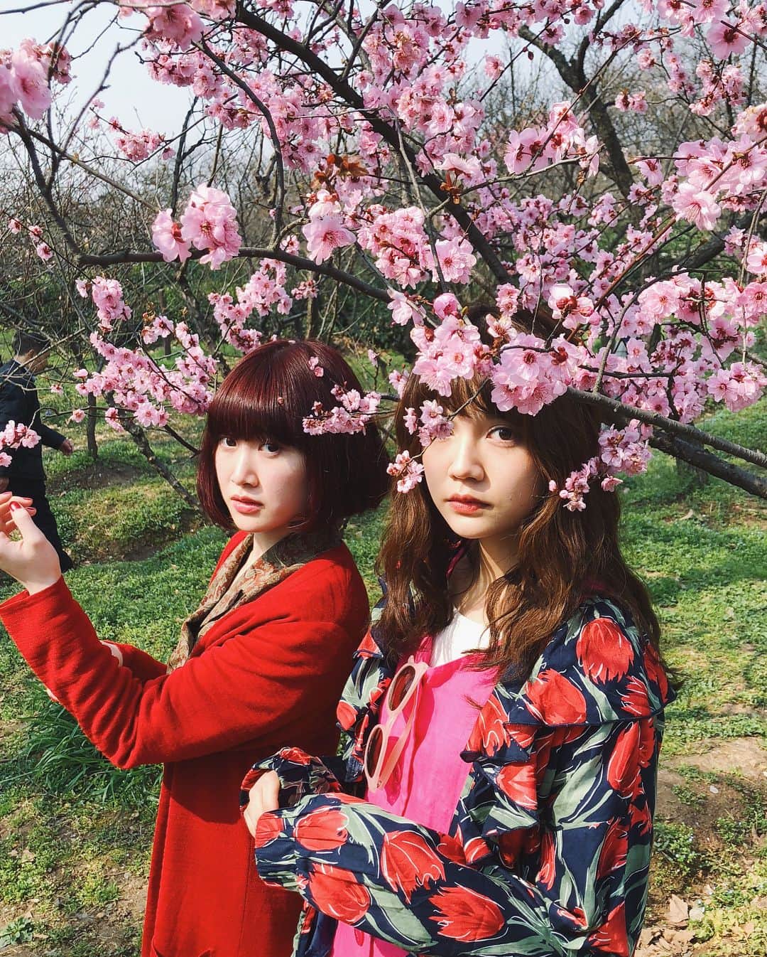 村田倫子さんのインスタグラム写真 - (村田倫子Instagram)「🌸🌸🌸 明孝陵では梅がたくさん咲いていたよ（＾_＾） 東京に帰ってきました。 弾丸南京の旅、楽しかったなあ、、、。普段触れ合えない文化をたくさん吸収して、えるとしょうもないことでずっーと笑ってた。そんな時間が1番幸せ。 (写真まだまだあるので、まったり更新してよい？) #江蘇省#南京市  #女子旅 #弾丸旅行」3月24日 13時09分 - rinco1023