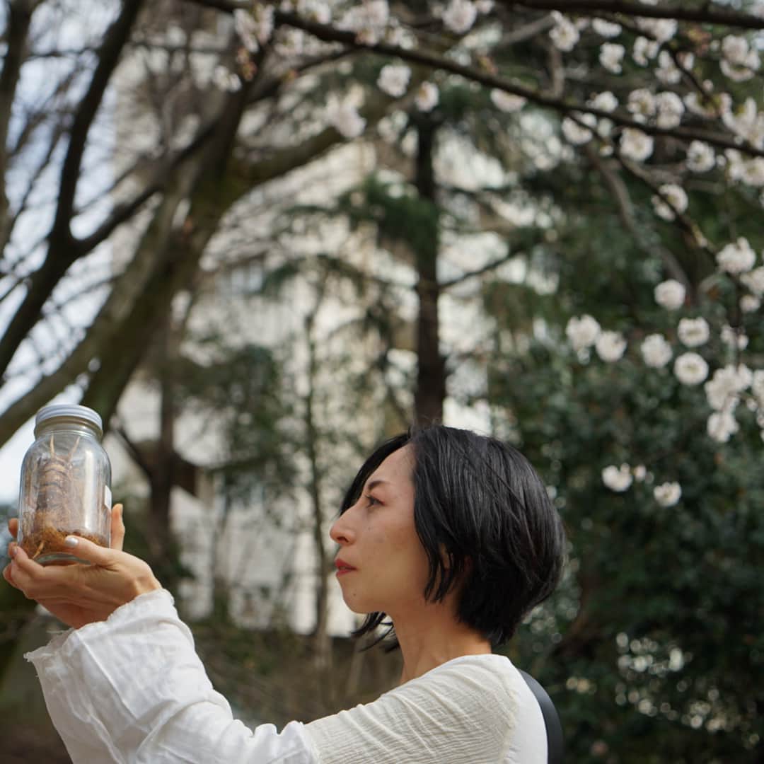 のインスタグラム：「Under the cherry tree #cherryblossom #hanami🌸 #hanami #toyamapark #shinjuku #cherry」
