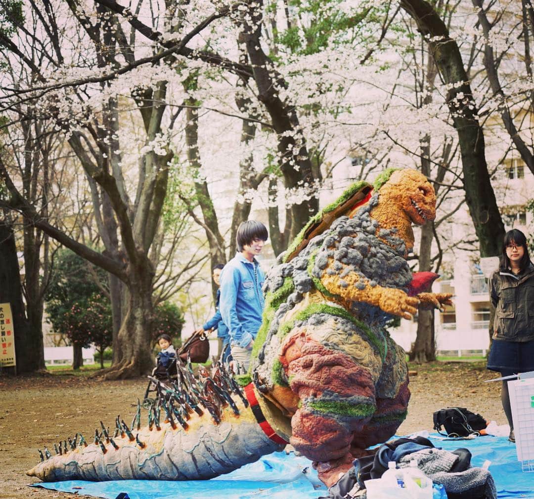 のインスタグラム：「花にゴジラ #godzilla #cherryblossom #cherry #hanami #wasada #moviemagic #moviemaking #independent」