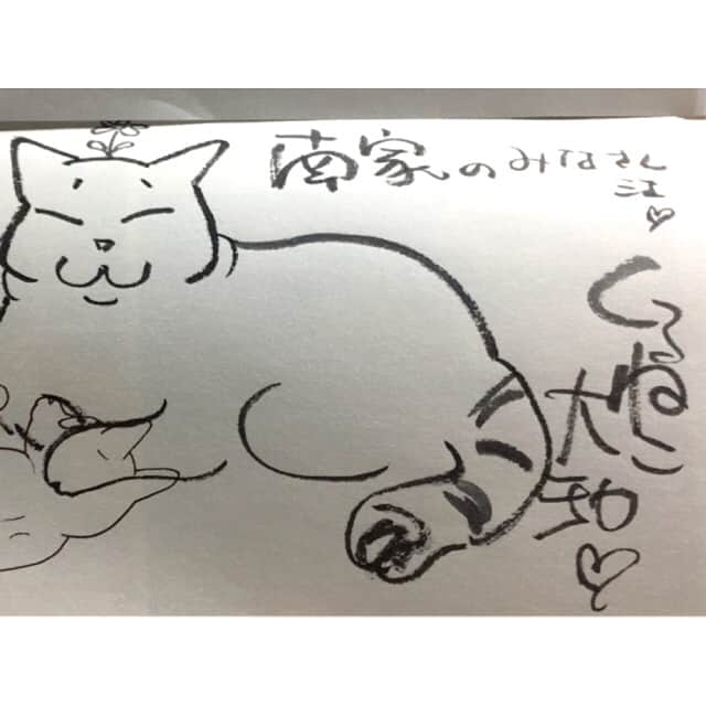 南明奈さんのインスタグラム写真 - (南明奈Instagram)「南家全員が大好きな漫画【くるねこ】のくるねこ大和先生のサイン会行ってきたよー‼︎ 限定50人のサイン会当選したの‼︎ 目の前で大好きな猫ちゃん描いてもらえて感動(*´∀`*) 【くるねこ】はブログ原作の漫画☆猫好きな人はぜひ読んでみてー‼︎ 先生のおうちにいる猫ちゃん達の日常が描かれてるんだけど、めっちゃ癒されるよ(´∪`*) #くるねこ #くるねこ大和 先生 #猫」3月24日 23時27分 - akinaminami