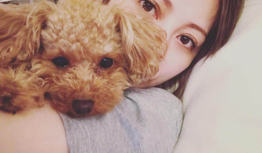 香里奈さんのインスタグラム写真 - (香里奈Instagram)「With Lemon chan 🐶💖 #iamkarina  #itisnotfake  #forreal #lovefamily #長女 #一番小さい #1.4kg #2yearsold #toypoodle  #red #もみじの孫 #はなびの娘 #みんとの姉  #香里奈 #karina #G香里奈 #gkarina #japanesemodel #富取正明 #masaakitomitori #PARCO #shibuya #渋谷 #nagoya #名古屋 #tgc #gambit #gifmagazine #gladd」3月25日 0時26分 - karina_official_221