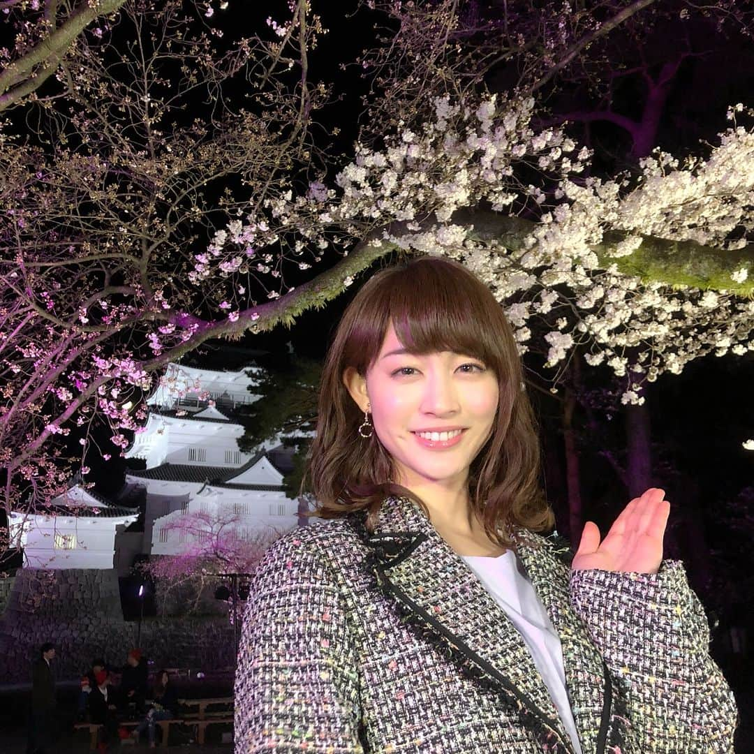 新井恵理那のNキャスさんのインスタグラム写真 - (新井恵理那のNキャスInstagram)「今週は神奈川県・小田原市の小田原城から中継しました☆ 満開を期待して行ったものの、まだ三分咲き…見頃はこれからのようでした☆小田原城址公園には300本もソメイヨシノがあるとのことで、満開になったらそれはそれは美しいでしょうね(o^^o)今後の開花情報に注目してみてくださ〜い♪ #新井恵理那  #新情報7daysニュースキャスター  #小田原城  #小田原城址公園  #ソメイヨシノ」3月25日 7時42分 - tbs_7nc