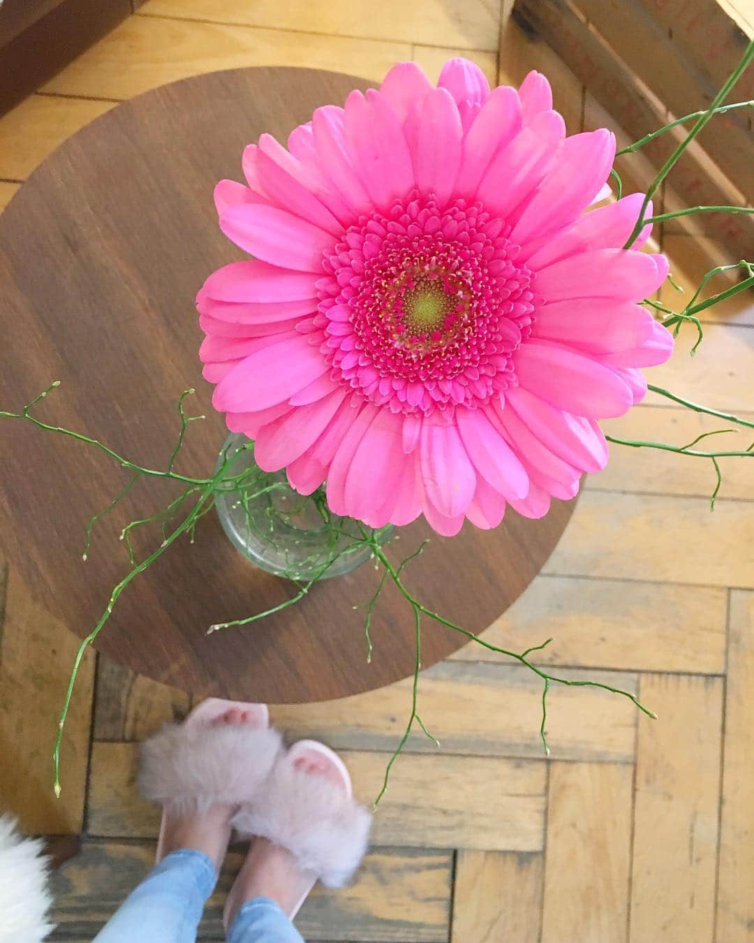 のインスタグラム：「Answer: Yesterday’s flower was a vivid pink Gerbera! 😉💓 ・ ・ 答え ビビットピンクのガーベラでした😆😆 #vividpink #gerbera #flower #ビビットピンク #ガーベラ #花のある暮らし」